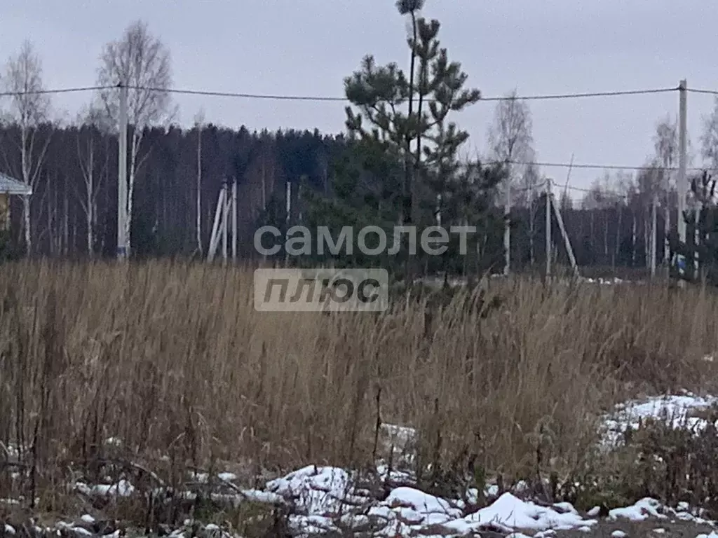 Участок в Московская область, Щелково городской округ, д. Малые ... - Фото 0