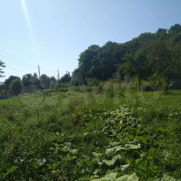 Участок 19 сот. (ИЖС) - Фото 0