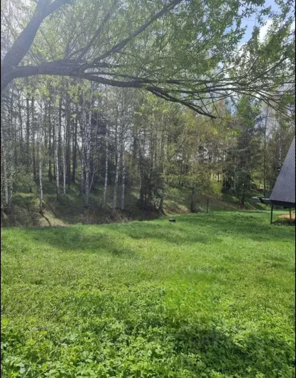 Участок в Московская область, Лосино-Петровский городской округ, д. ... - Фото 1
