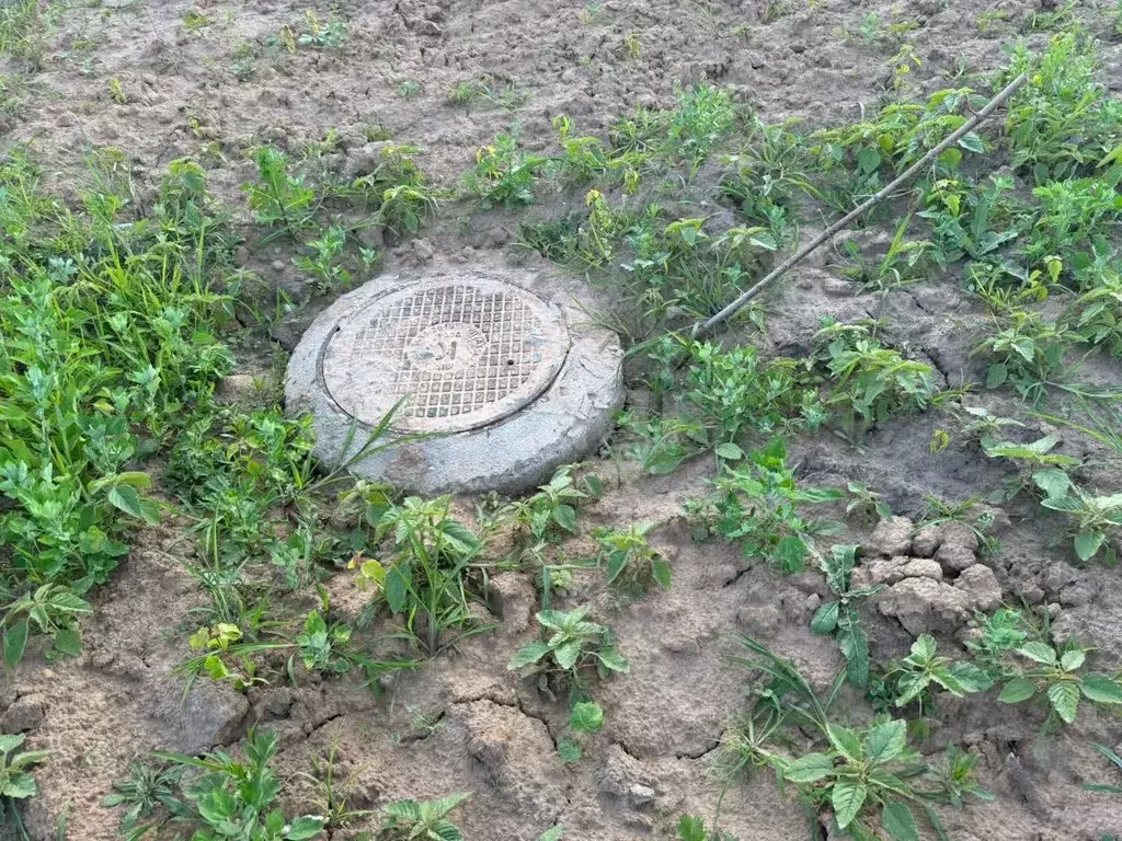 Участок в Владимирская область, Муром с. Дмитриевская Слобода,  (8.0 ... - Фото 1