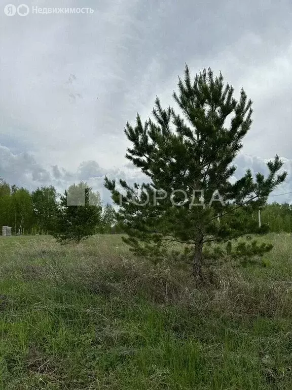 Участок в Быстровский сельсовет, коттеджный посёлок Экопарк (8.1 м) - Фото 1