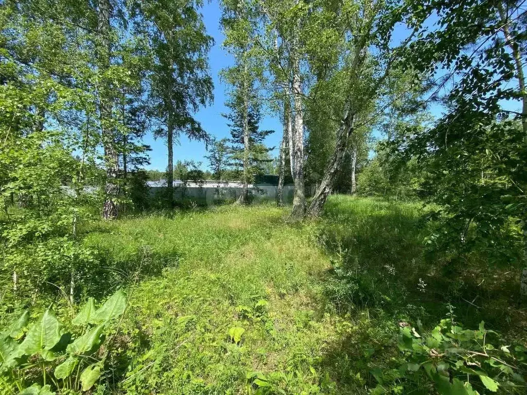 Участок в Курганская область, Кетовский муниципальный округ, д. ... - Фото 1