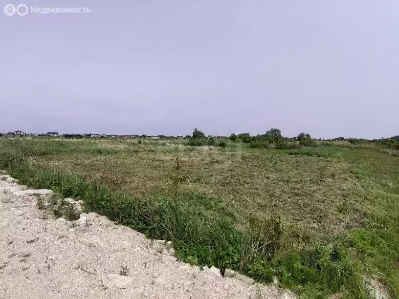 Участок в Калининградская область, Гурьевский муниципальный округ, ... - Фото 0