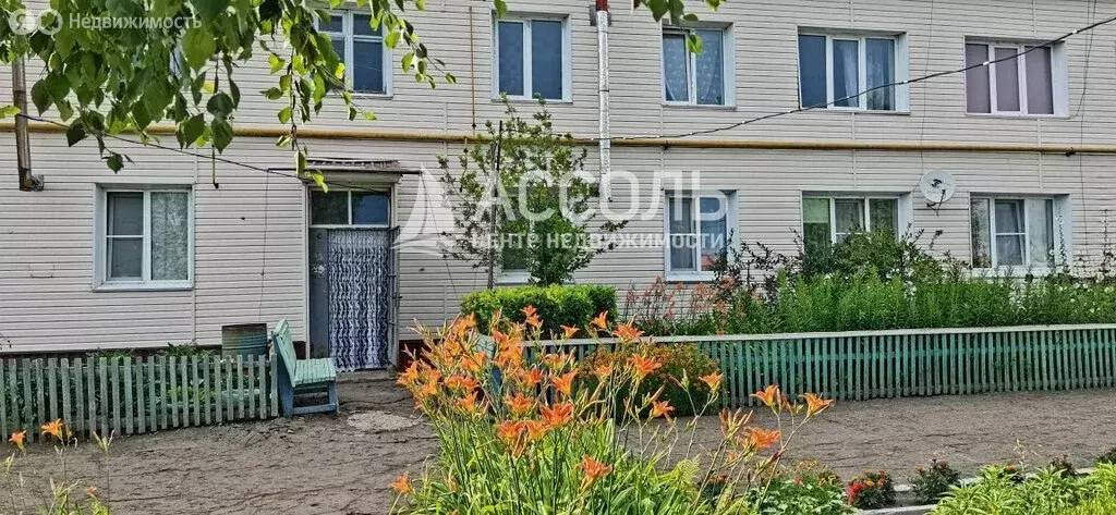 3-комнатная квартира: село Протопоповка, Центральная улица, 35 (60 м) - Фото 1