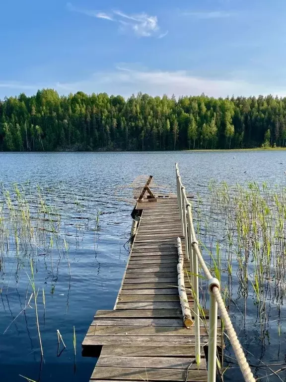 Дом в Карелия, Лахденпохский муниципальный округ, пос. Терваярви  (58 ... - Фото 1