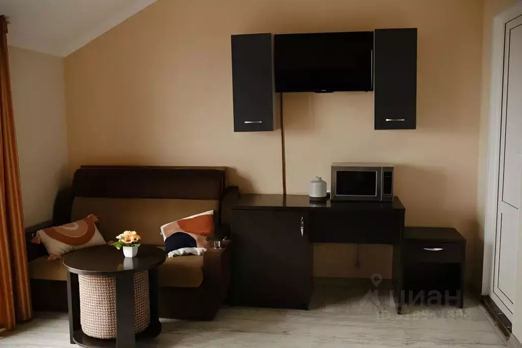 1-к кв. Краснодарский край, Сочи ул. Просвещения, 85Б (20.0 м) - Фото 1