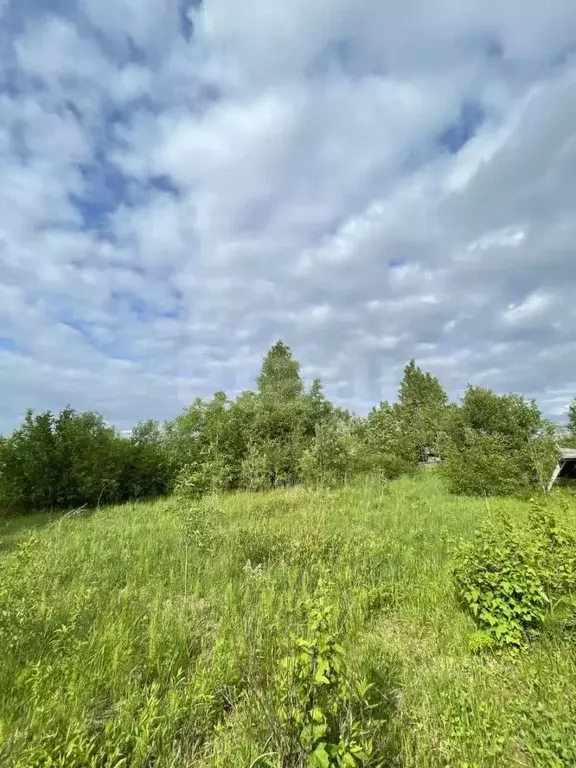 Участок в Архангельская область, Котласский муниципальный округ, ... - Фото 1