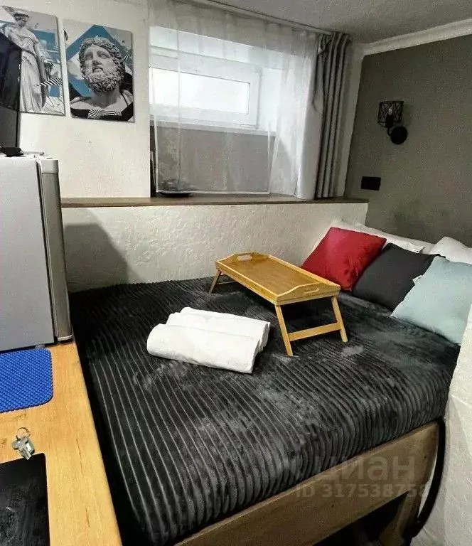 1-к кв. Санкт-Петербург ул. Пестеля, 5 (10.0 м) - Фото 1