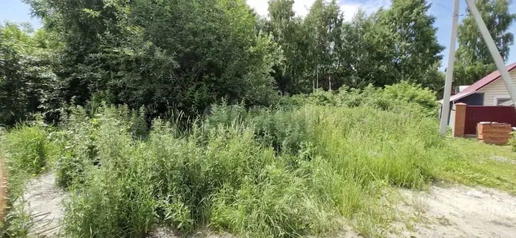 Участок в Новосибирская область, Новосибирск Горнолыжная ул., 30 (9.29 ... - Фото 0
