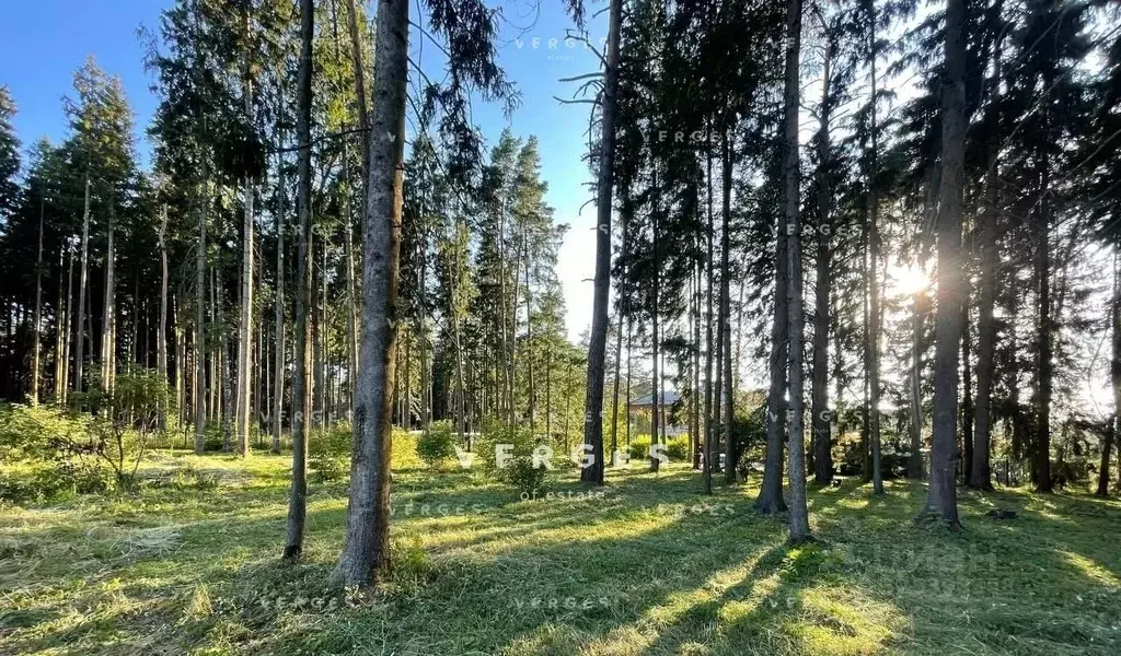 Участок в Московская область, Истра муниципальный округ, д. Чесноково, ... - Фото 1