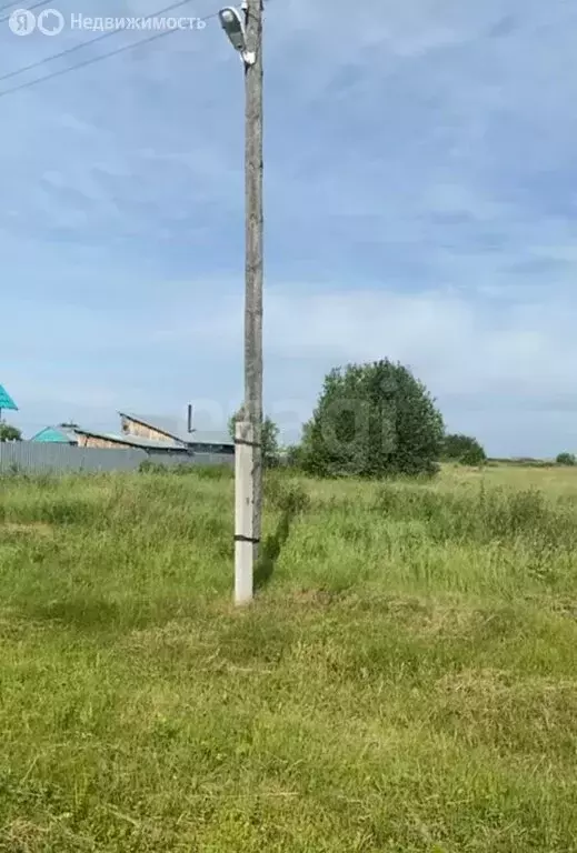 Участок в Ярковский район, деревня Космакова, Трактовая улица (14.79 ... - Фото 0