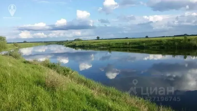 Участок в Рязанская область, Спасский муниципальный округ, д. Горки  ... - Фото 2
