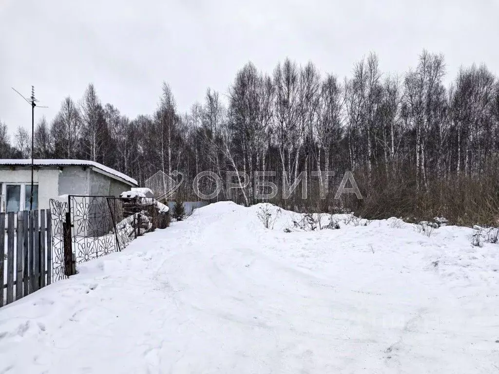 Участок в Тюменская область, Тюмень Якорь садовое товарищество, ул. ... - Фото 2