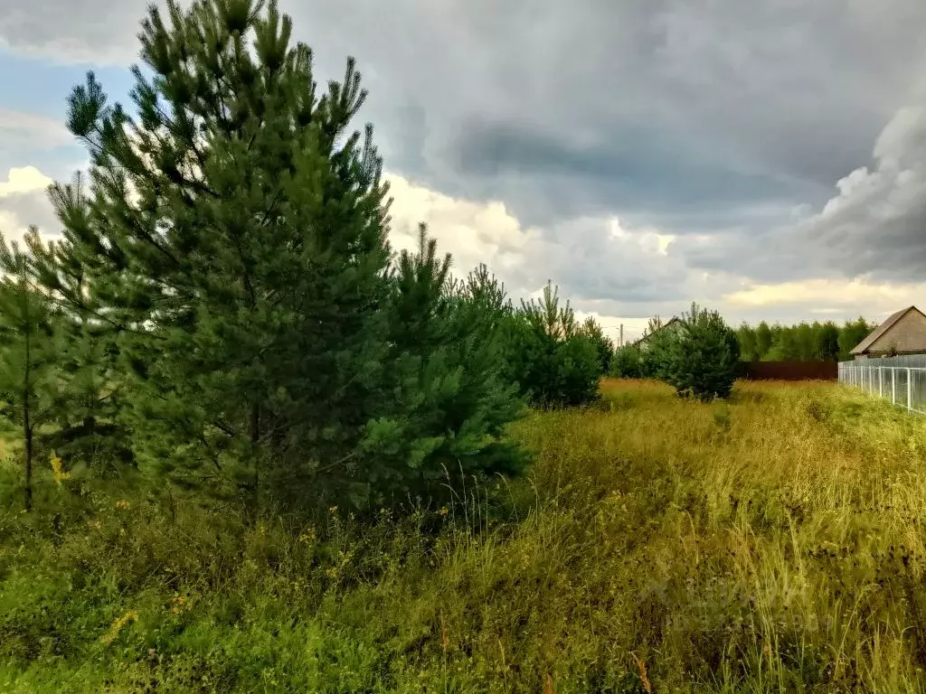 Участок в Владимирская область, Карабаново г. Александровский ... - Фото 2