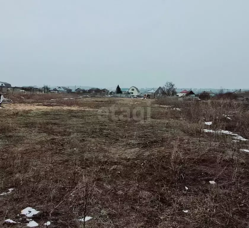 Участок в Саратовская область, Балашовский район, с. Репное ... - Фото 1