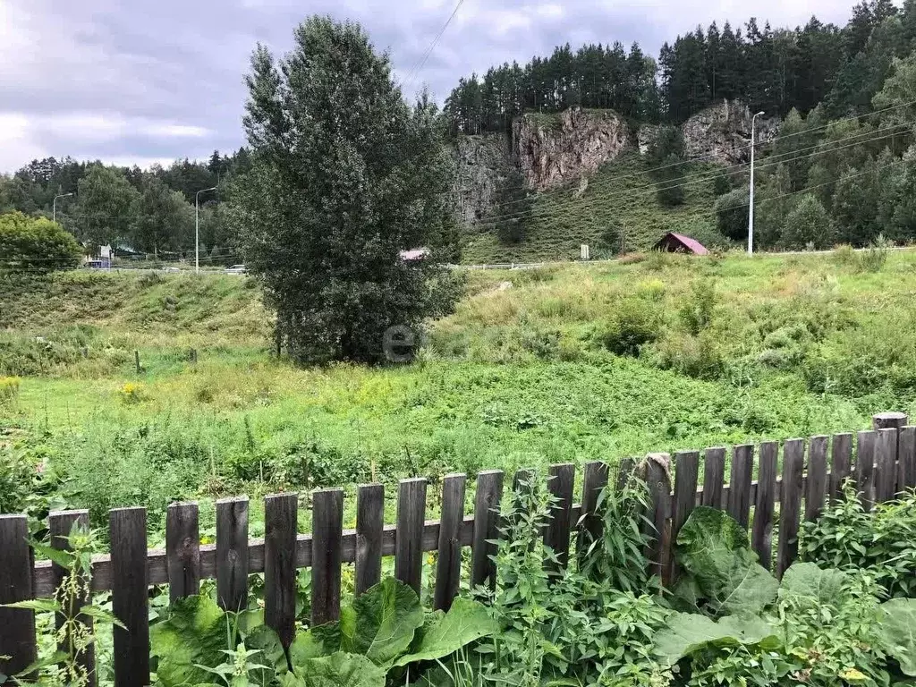 Участок в Алтай, Майминский район, с. Усть-Муны Катунская ул. (16.0 ... - Фото 1