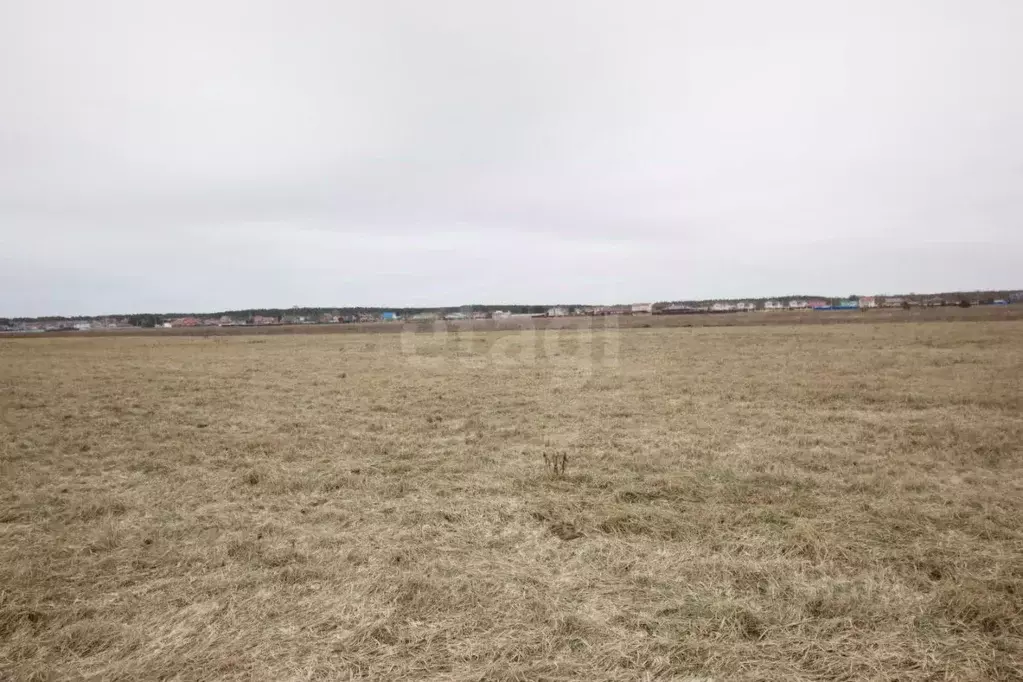 Участок в Калужская область, Дзержинский муниципальный округ, с. ... - Фото 1