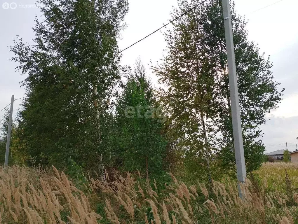 Участок в Тукаевский район, деревня Азьмушкино (8 м) - Фото 1