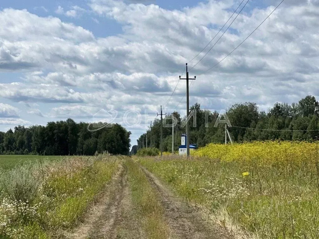 Участок в Тюменская область, Тюменский район, с. Горьковка Сибирская ... - Фото 0