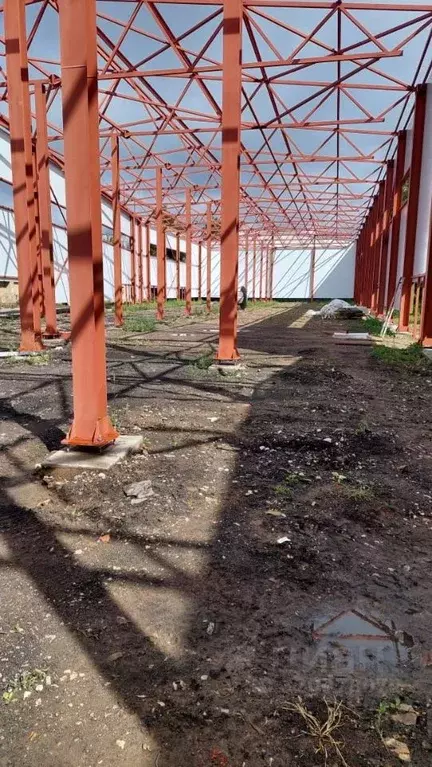 Склад в Московская область, Пушкино Западная ул., 1а (1860 м) - Фото 0