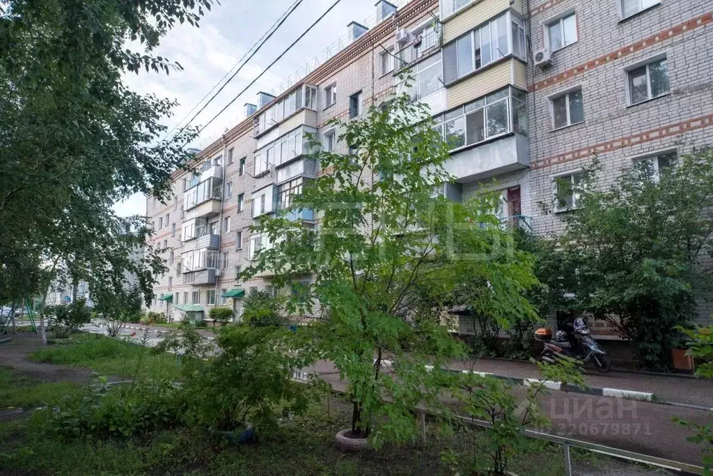 1-к кв. Амурская область, Благовещенск городской округ, с. Белогорье ... - Фото 1