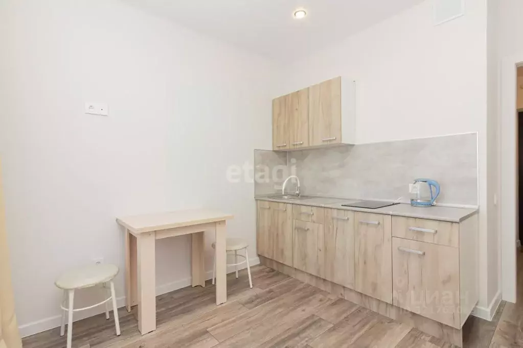 Студия Тюменская область, Тюменский муниципальный округ, д. Дударева ... - Фото 1