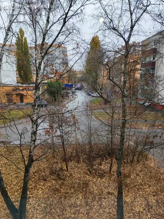 2-комнатная квартира: Курск, улица Ухтомского, 1 (26 м) - Фото 1