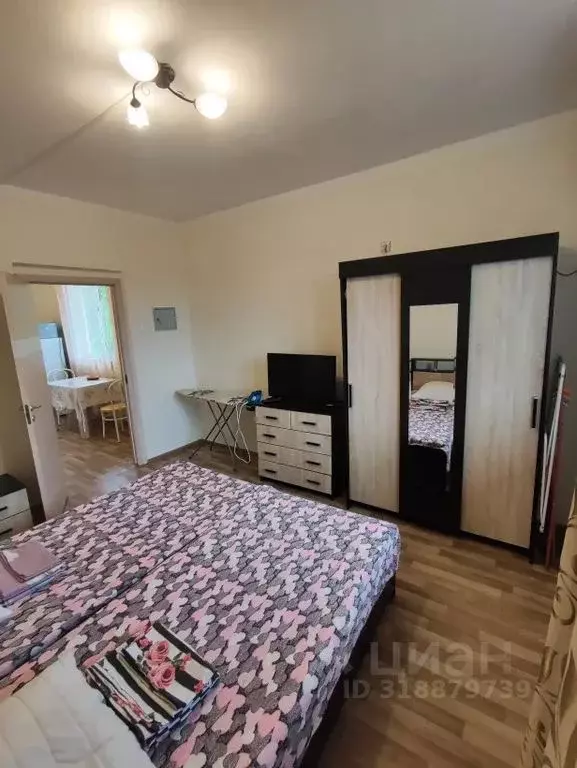1-к кв. Краснодарский край, Сочи Пятигорская ул., 100/2 (30.0 м) - Фото 1