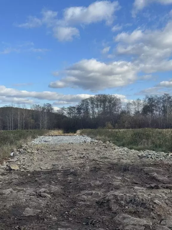 Участок в Свердловская область, Екатеринбург Шабровские дачи жилой ... - Фото 1