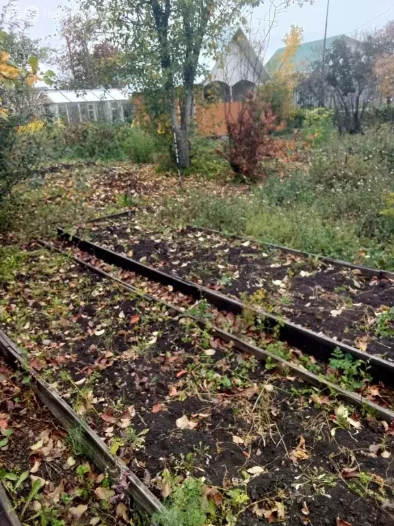 Участок в Каменск-Уральский, садоводческое товарищество № 61 (3 м) - Фото 1