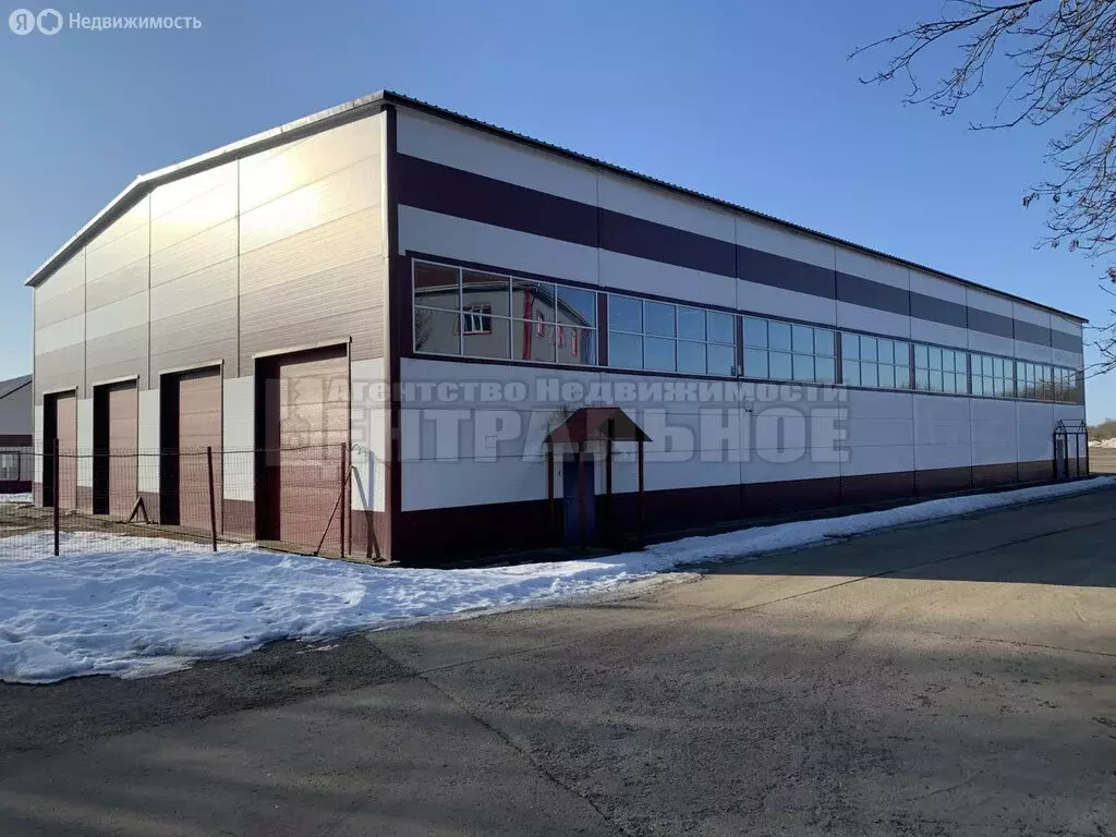 Помещение свободного назначения (1210 м) - Фото 1