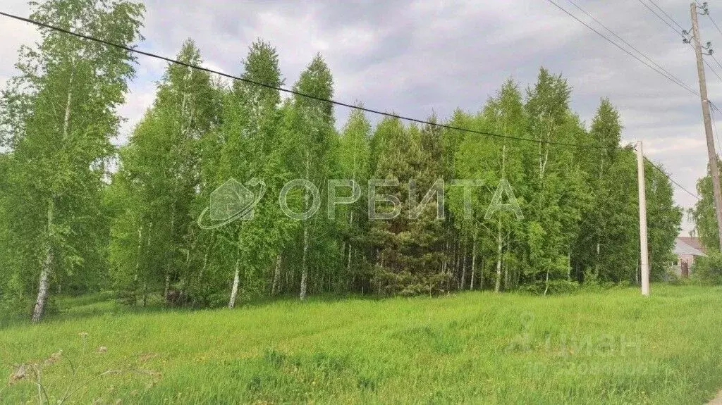 Участок в Тюменская область, Тюменский район, д. Головина  (7.68 сот.) - Фото 1