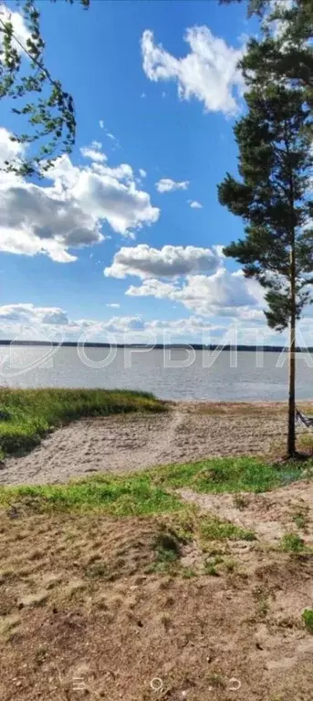 Участок в Тюменская область, Ялуторовский район, с. Сингуль Татарский  ... - Фото 0