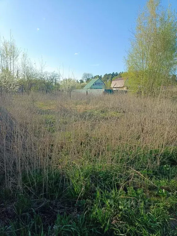 Участок, 6 сот., сельхоз (снт или днп) - Фото 1
