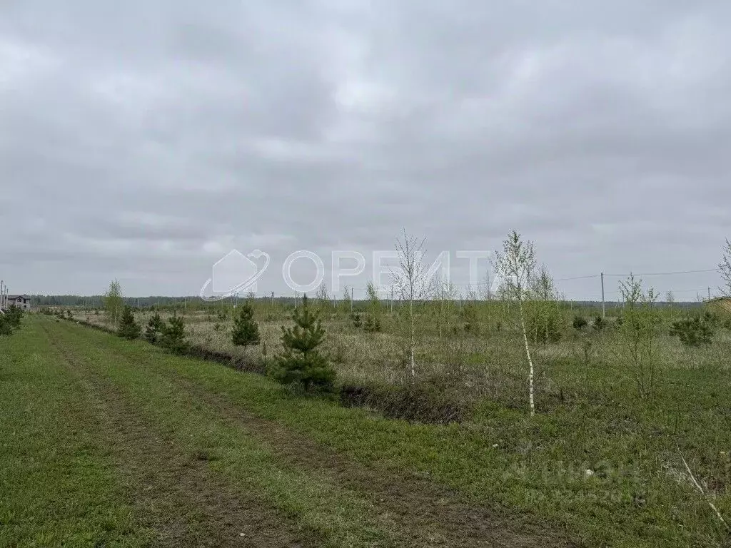 Участок в Тюменская область, Тюменский муниципальный округ, с. Кулига, ... - Фото 2