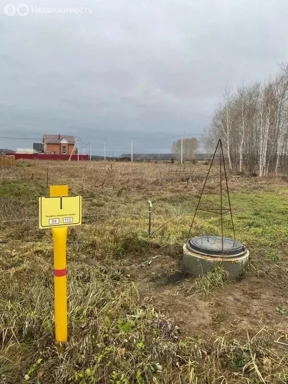 Участок в Толмачёвский сельсовет, деревня Алексеевка (12.309999 м) - Фото 0