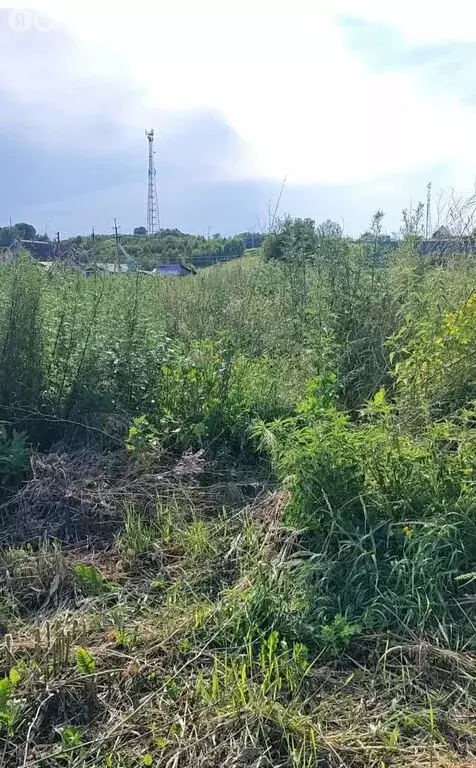 Участок в Береговая, Дорожная улица (11 м) - Фото 1