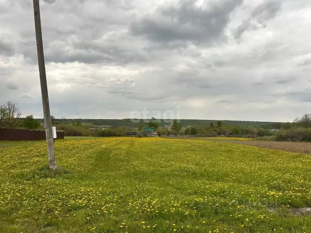 Участок в Нижегородская область, Богородский муниципальный округ, д. ... - Фото 1