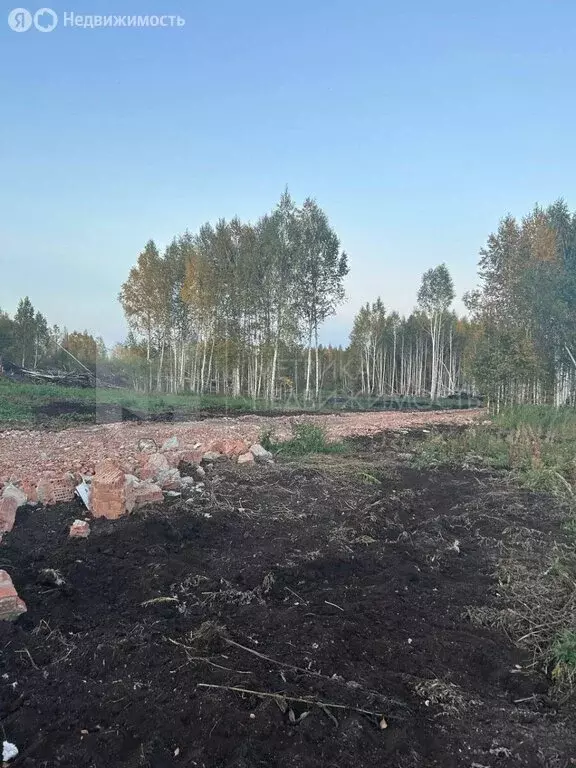 Участок в Тюменская область, Нижнетавдинский муниципальный округ, ТСН ... - Фото 2