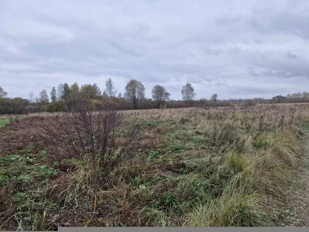 Участок в Московская область, Ступино городской округ, д. Игнатьево  ... - Фото 0