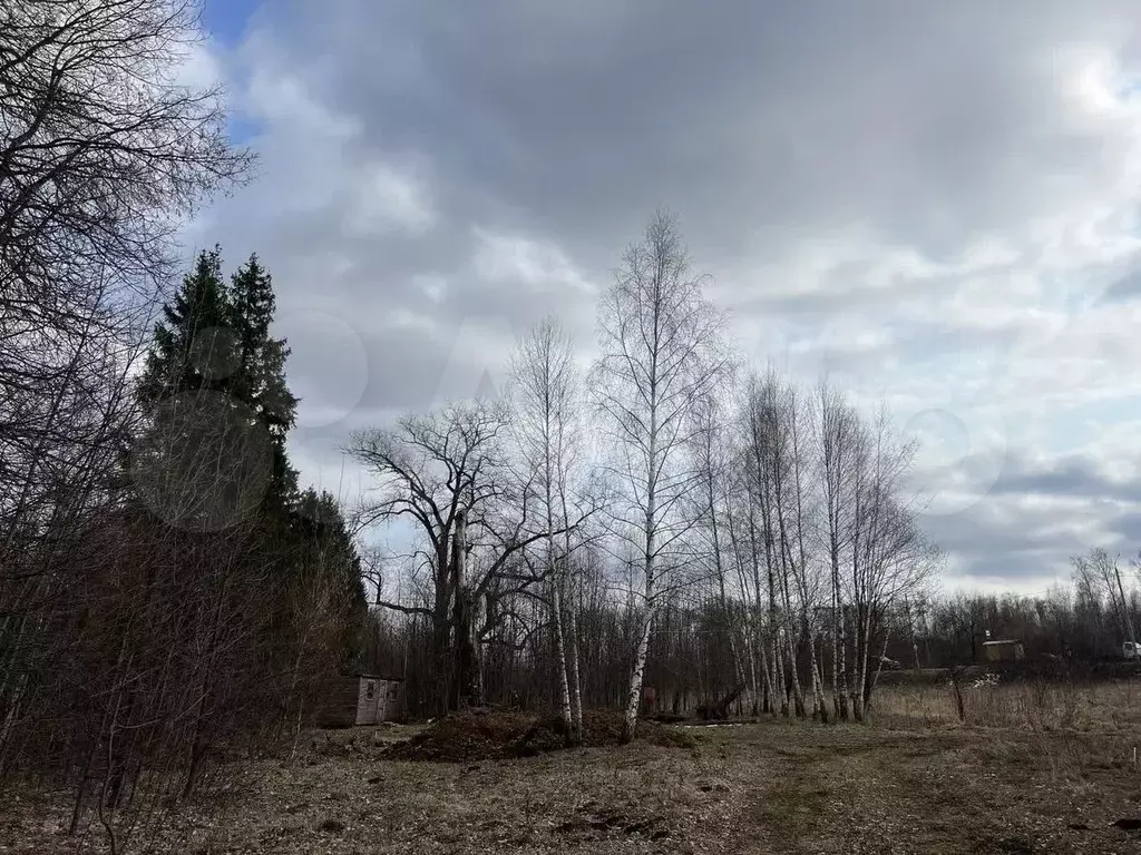 Участок 9 сот. (ИЖС) - Фото 0
