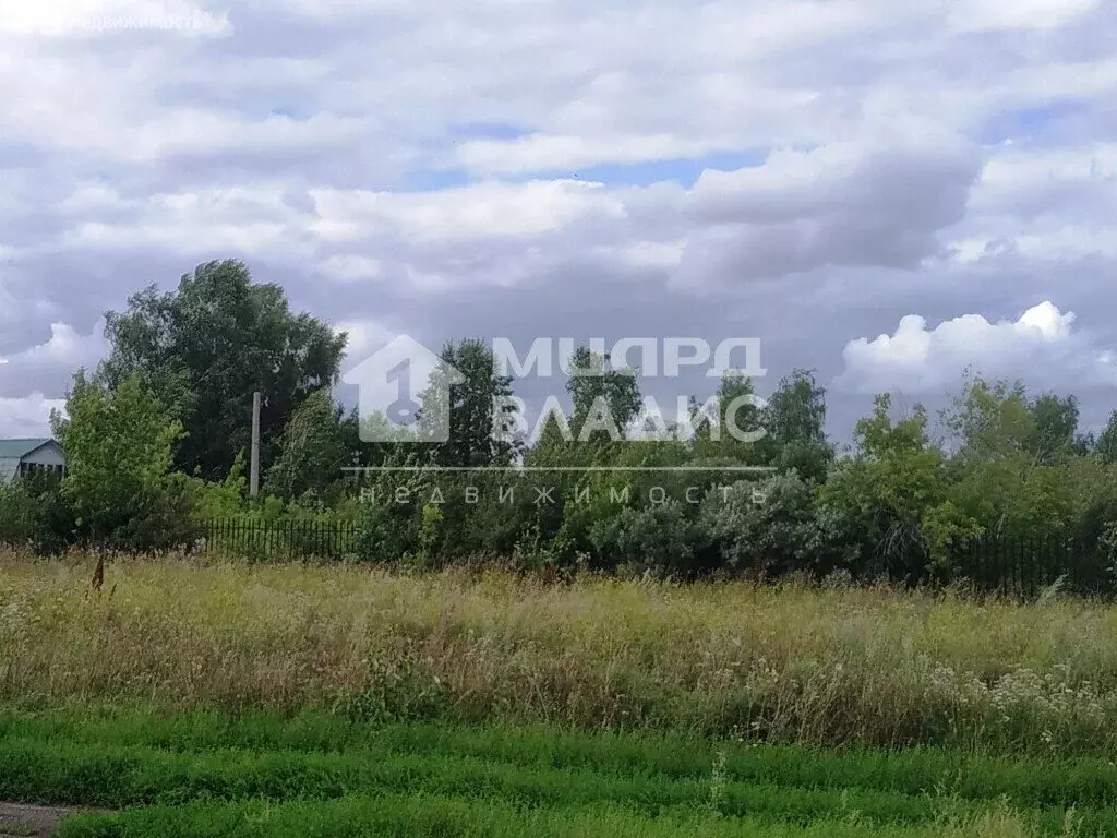 Участок в Омский район, Магистральное сельское поселение, деревня ... - Фото 2