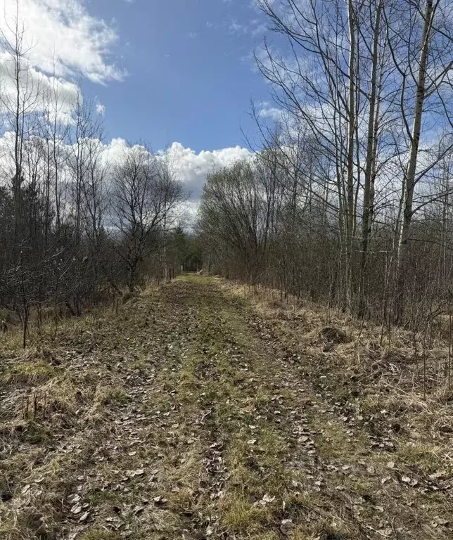 Участок в Новгородская область, Новгородский район, Панковское ... - Фото 1