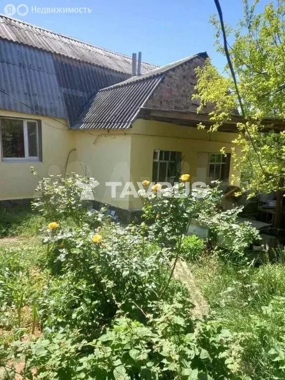 Дом в Урожайное, улица Амет-Хана Султана (68 м) - Фото 2