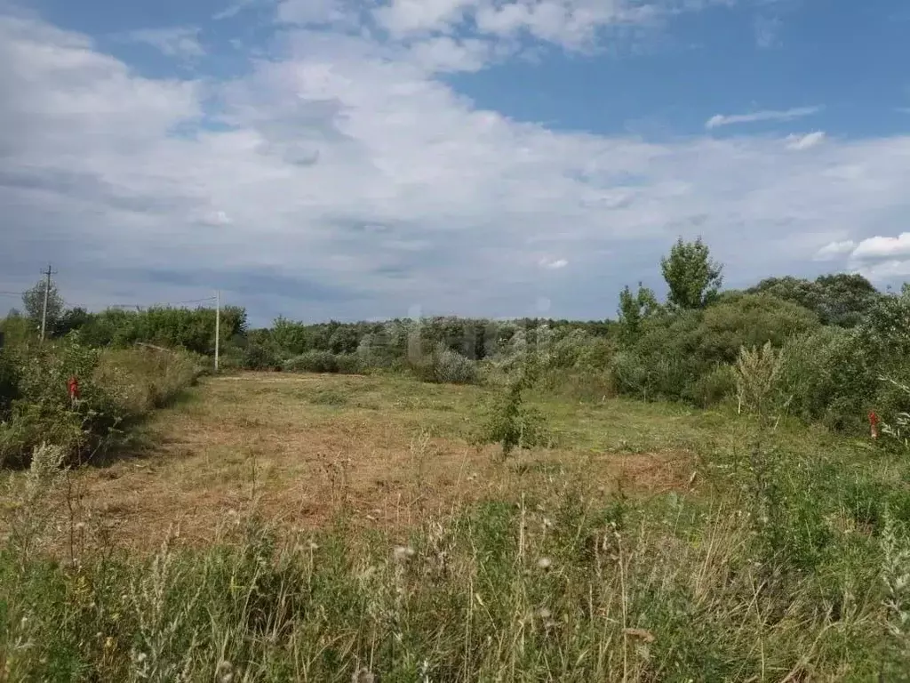 Участок в Воронежская область, Новоусманский район, с. Бабяково ... - Фото 1