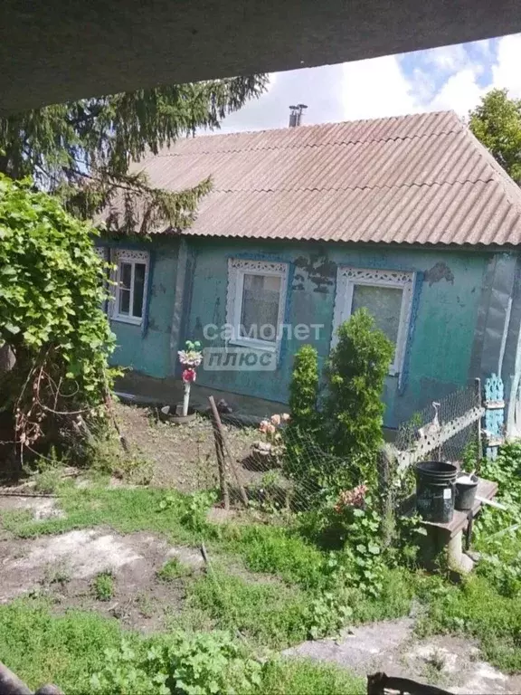 Дом в Курская область, Тимский район, Быстрецкий сельсовет, с. Рогозцы ... - Фото 2