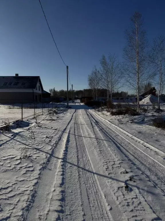 Участок в Омская область, Омск ул. Ивана Улыбина (16.0 сот.) - Фото 1