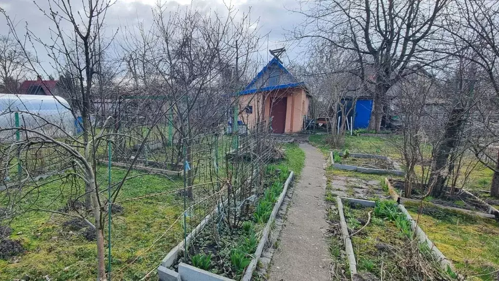 Дом в Калининградская область, Калининград 50 лет Октября СНТ, ул. ... - Фото 0