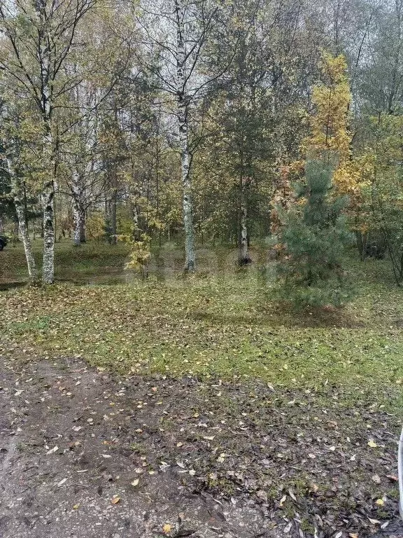 Дом в Ярославская область, Рыбинск Западный п/р, ул. Журнальная, 5 (33 ... - Фото 1