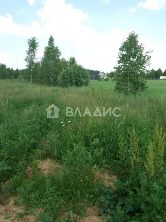 Продается участок в с. Никоновское - Фото 1